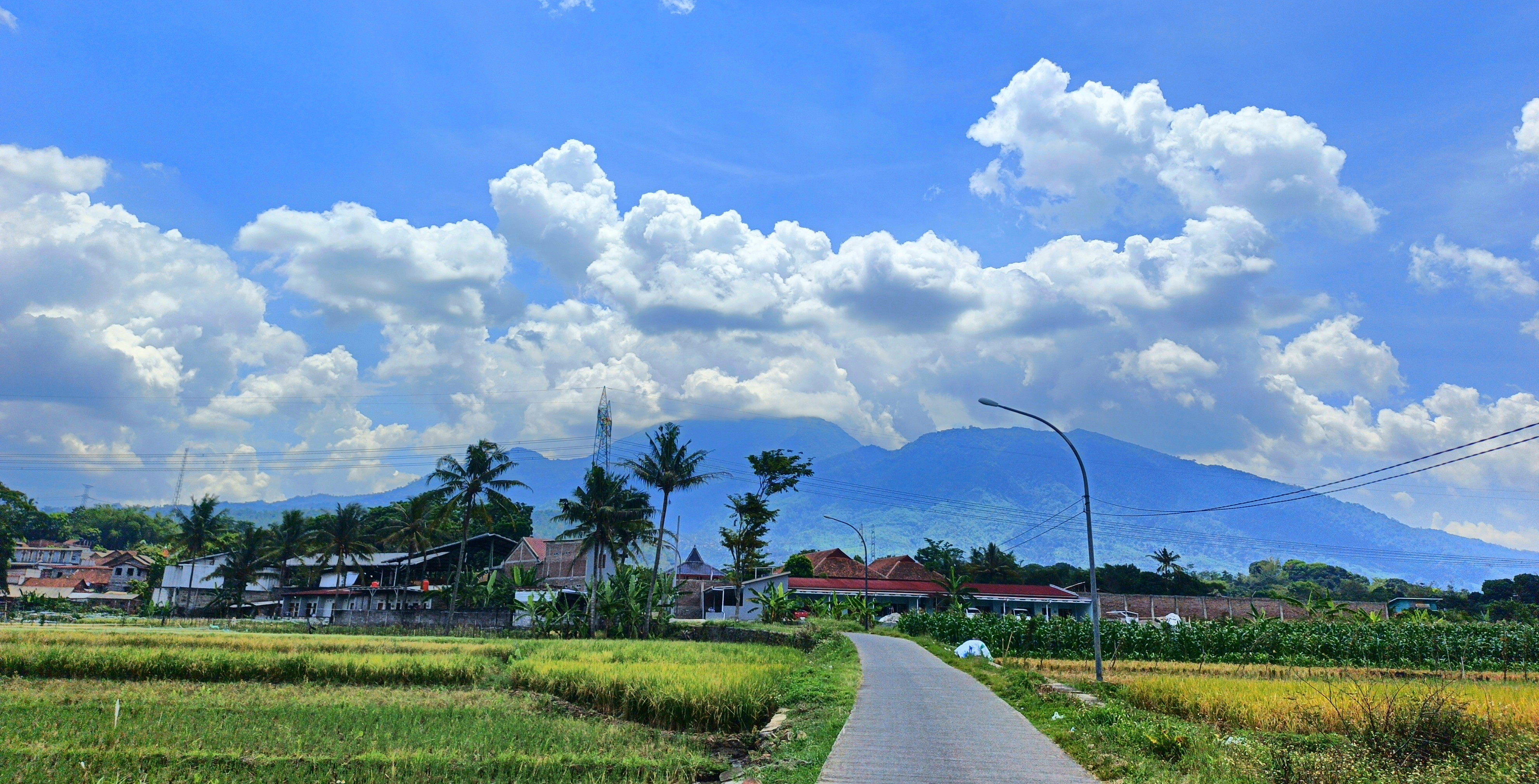 Alam Pegunungan Bergas Lor